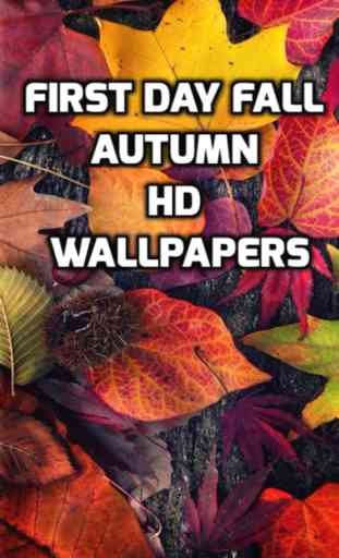 First Day Fall - Autumn HD Wallpapers 1