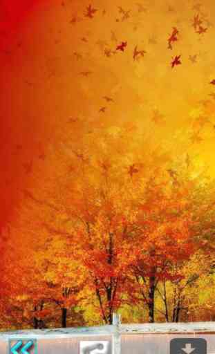 First Day Fall - Autumn HD Wallpapers 3