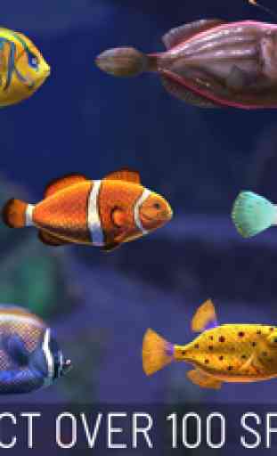 Fish Abyss: Aquarium Simulator 3