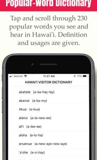Hawai'i Visitor Dictionary 2