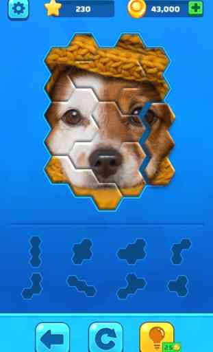 Hexa Jigsaw Puzzle™ 1