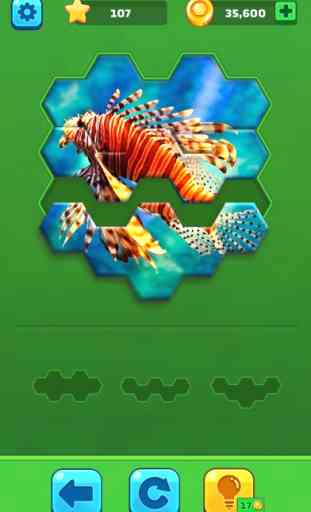 Hexa Jigsaw Puzzle™ 3