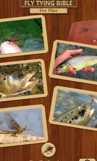 Fly Tying Bible - Dry Flies Fishing Instructions with Tyer Equipment & Knots Tutorials 1