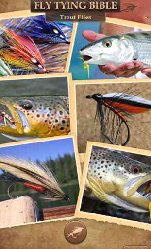 Fly Tying Bible Trout Flies - Step by Step Fishing Tutorials for Tying Pro Patterns 1