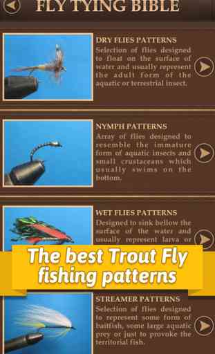 Fly Tying Bible Trout Flies - Step by Step Fishing Tutorials for Tying Pro Patterns 2