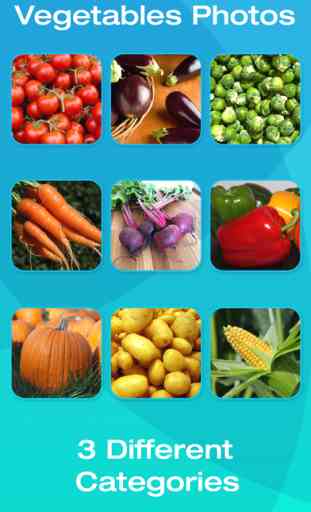 Fruit and Vegetable Picture Flashcards for Babies, Toddlers or Preschool (Free) 4