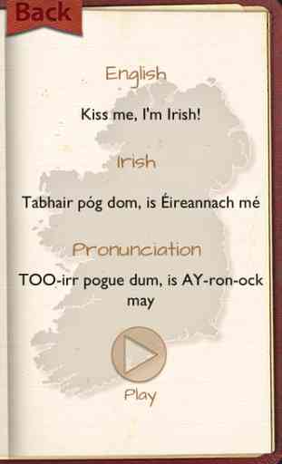Focal Me - Irish (Gaelic) Words & Phrasebook with Audio 3