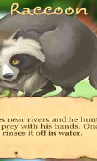Forest Animals: Interactive Encyclopedia for Kids about European Fauna 3