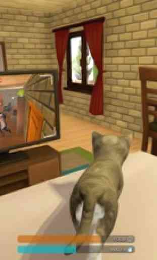 Kitty Cat Detective Pet Sim 4
