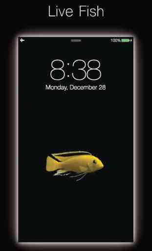 Live Fish - Live Wallpapers for Fish with Black BG 1