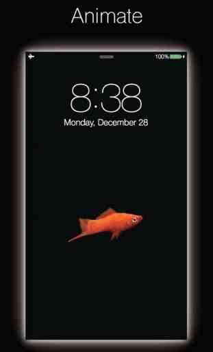 Live Fish - Live Wallpapers for Fish with Black BG 4
