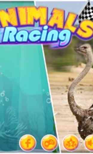 Ostrich Racing 3D Simulator 1