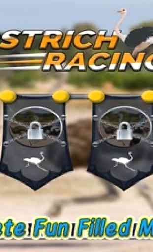 Ostrich Racing 3D Simulator 2