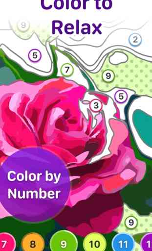 Painting and Color by Numbers 1