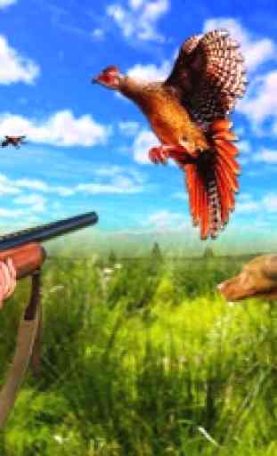 Pheasant Bird Hunting 3d 1