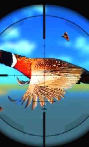 Pheasant Bird Hunting 3d 3