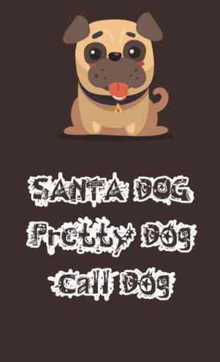 Pretty Puppy Dog Calling You! 4