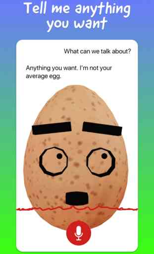 Talking Egg - World Record Egg 4