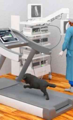 Virtual Pet Care Vet Hospital 4
