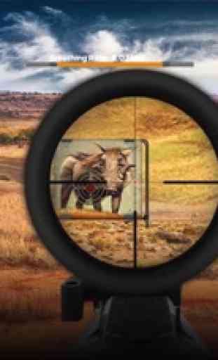Warthog Hunting Practice 1