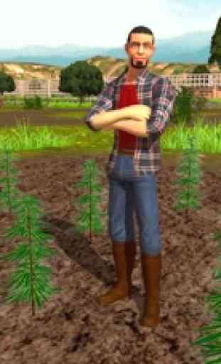Weed Farming Game 2018 4
