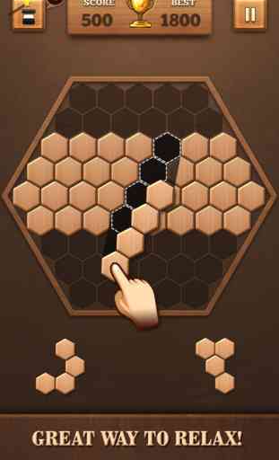Wooden Hexagon Fit: Hexa Block 1