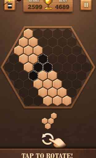 Wooden Hexagon Fit: Hexa Block 2