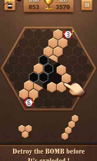 Wooden Hexagon Fit: Hexa Block 3