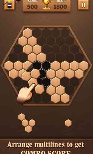 Wooden Hexagon Fit: Hexa Block 4