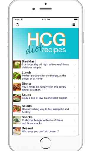 HCG Diet Recipes and More 1
