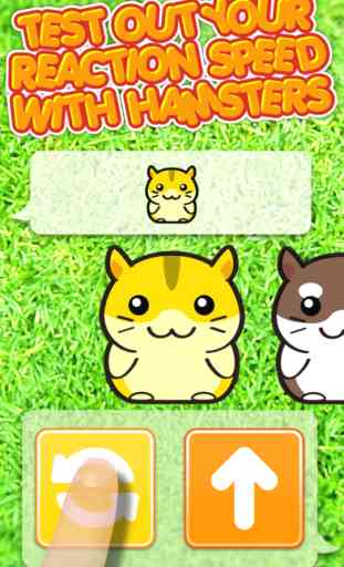 Hamster Dojo - Best Fun Pocket Games Play With My Littlest Pet Hamsters 2