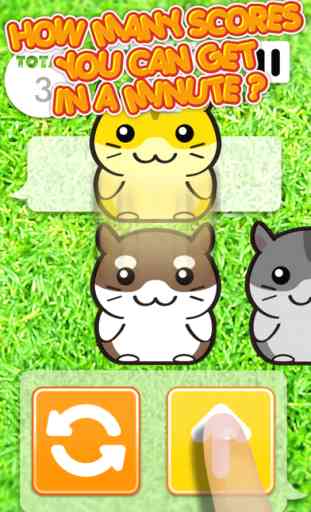 Hamster Dojo - Best Fun Pocket Games Play With My Littlest Pet Hamsters 3
