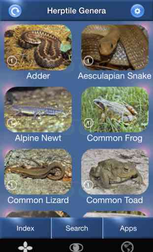 Herptile Id - the Amphibian and Reptile Conservation (ARC) trust's guide to species of the British Isles 1
