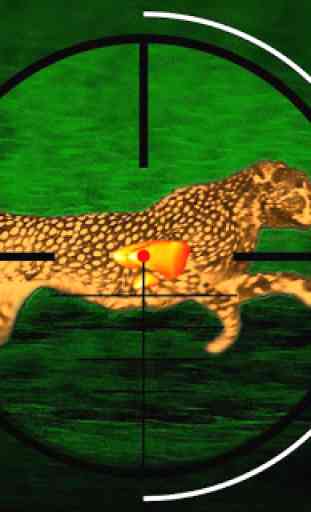Cheetah Hunter 2016 1