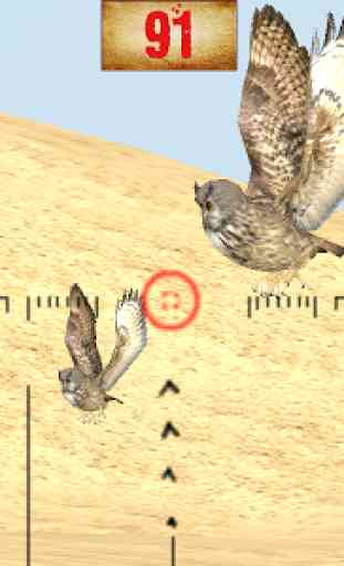 Desert Birds Sniper Shooter 3