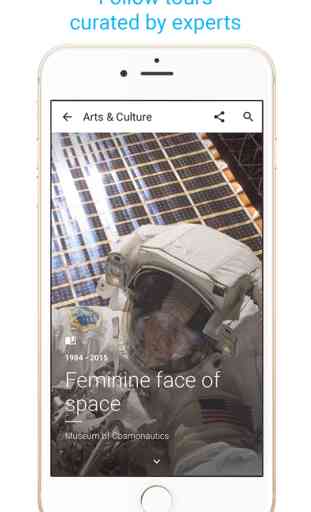 Google Arts and Culture (iOS/Android) image 4