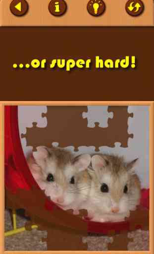 Hamster Jigsaw Puzzles - Educational Toddler Games 4