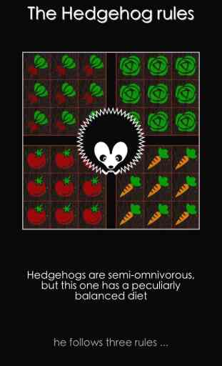 Hedgehog Gardens - Logic Games 1