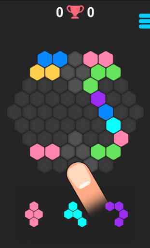 Hex Puzzle : 10-10 Block Crush 3
