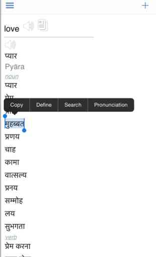 Hindi Dictionary + 3