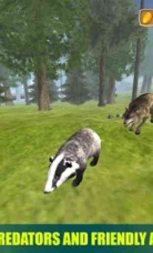 Badger Simulator 3D 2