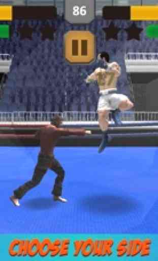 Boxing vs Kung Fu Fighting Sim 1
