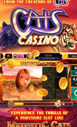 CATS Casino - Real Hit Slots! 1