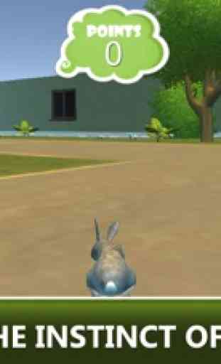 Extreme Rabbit 3D Simulator 1