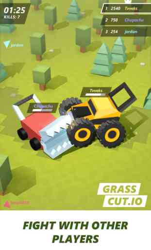 Grass cut.io - last lawn mower 1