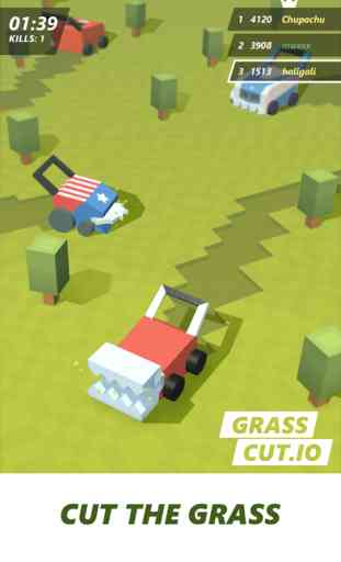 Grass cut.io - last lawn mower 4