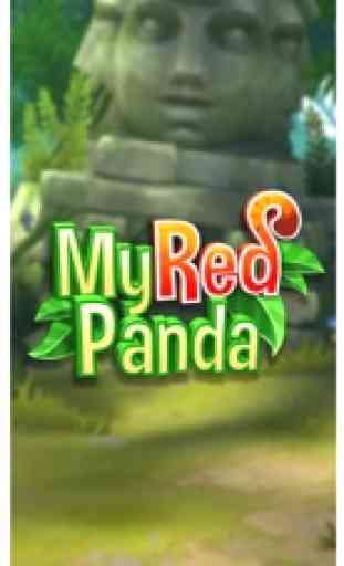 My Red Panda - My lovely pet 1