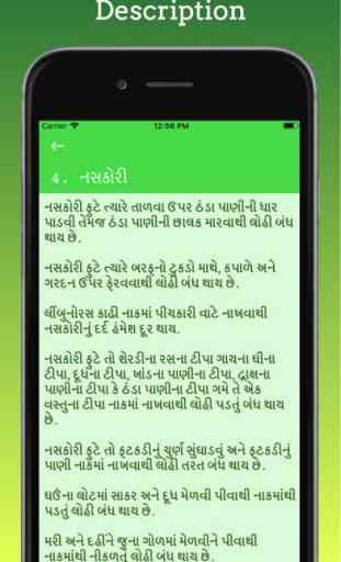 Gujarati Gharelu Upchar 4