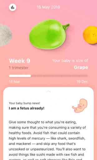 Pregnancy Tracker: Baby Bump 2