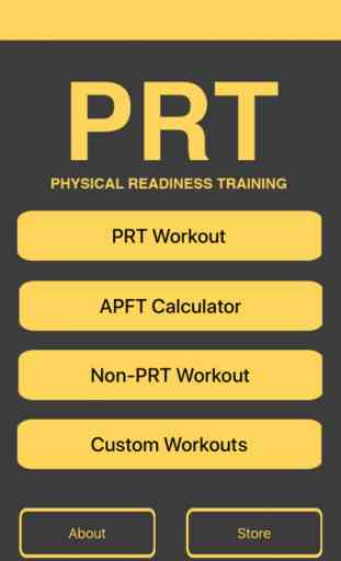 PRT: An Army Workout 1